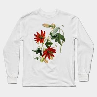 Passionfruit Flower Vintage Botanical Drawing Long Sleeve T-Shirt